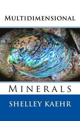 Shelley Kaehr - Multidimensional Minerals, Häftad. Tillgänglighet: Lägg i varukorg