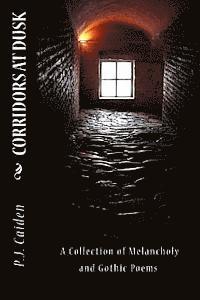 P. J. Caiden - Corridors At Dusk, Häftad. Tillgänglighet: Lägg i varukorg