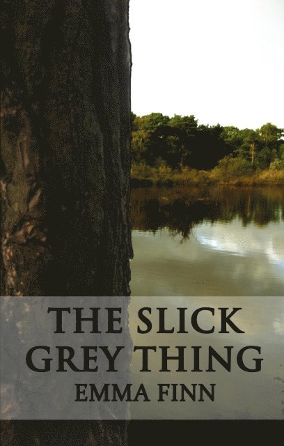 Emma Finn - The Slick Grey Thing, Häftad