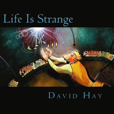David Hay - Life Is Strange, Häftad