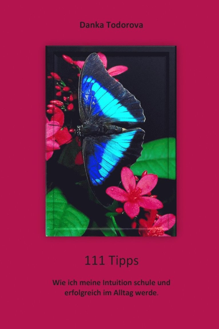 Danka Todorova - 111 Tipps, Häftad. Tillgänglighet: Lägg i varukorg