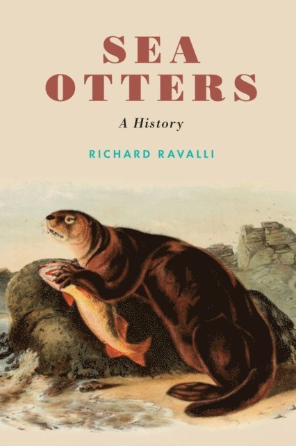 Richard Ravalli - Sea Otters, E-bok