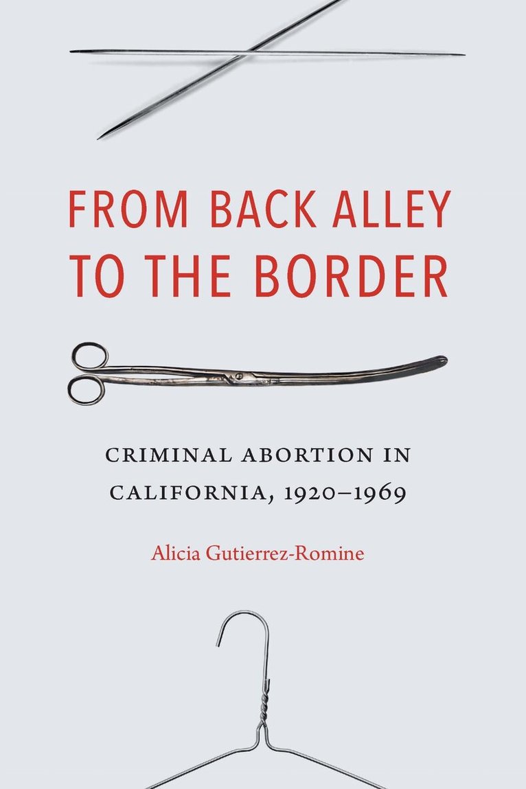 Alicia Gutierrez-Romine - From Back Alley to the Border, E-bok
