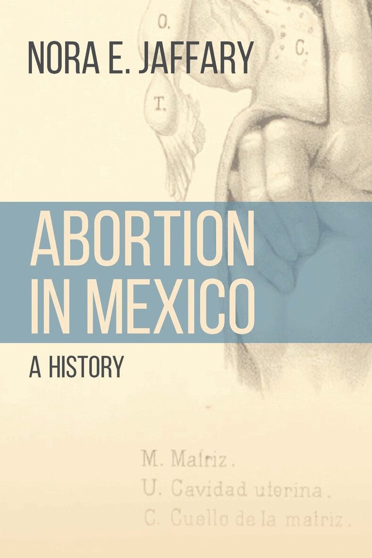 Nora E. Jaffary - Abortion in Mexico, E-bok