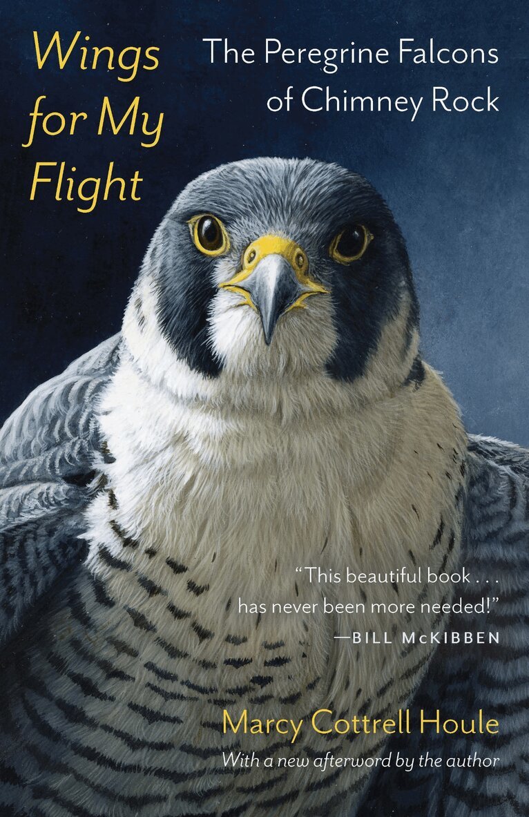 Marcy Cottrell Houle - Wings for My Flight, Häftad. Tillgänglighet: Lägg i varukorg