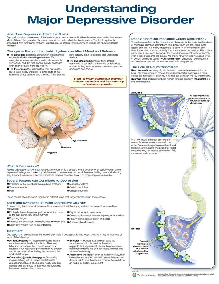 Understanding Major Depressive Disorder, Övrigt
