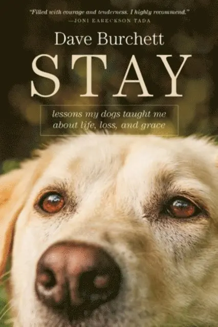 Dave Burchett - Stay, E-bok. Tillgänglighet: Lägg i varukorg