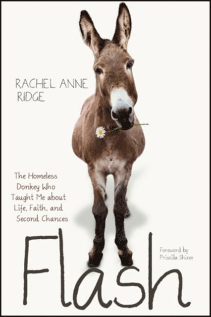 Rachel Anne Ridge - Flash, E-bok. Tillgänglighet: Lägg i varukorg