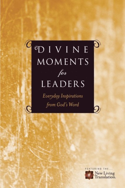 Amy E. Mason, Ronald A. Beers - Divine Moments for Leaders, E-bok