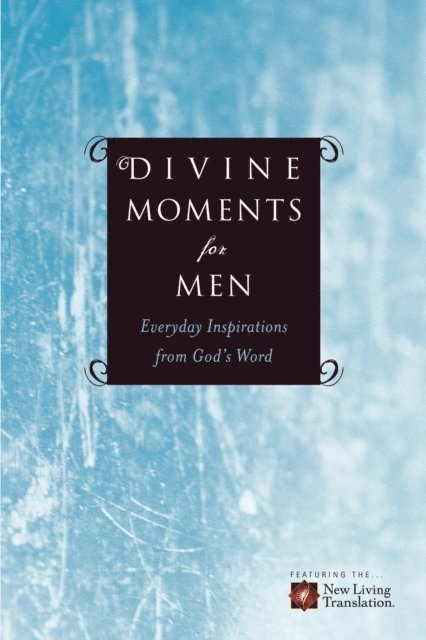 Amy E. Mason, Ronald A. Beers - Divine Moments for Men, E-bok