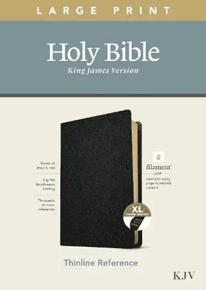 Tyndale House - KJV Large Print Thinline Reference Bible, Filament Enabled E, Inbunden. Tillgänglighet: Lägg i varukorg