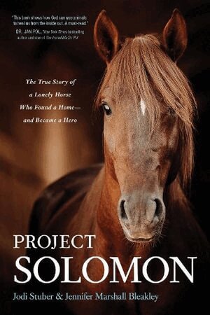 Jodi Stuber - Project Solomon, Häftad
