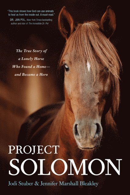 Jennifer Marshall Bleakley, Jodi Stuber - Project Solomon, E-bok