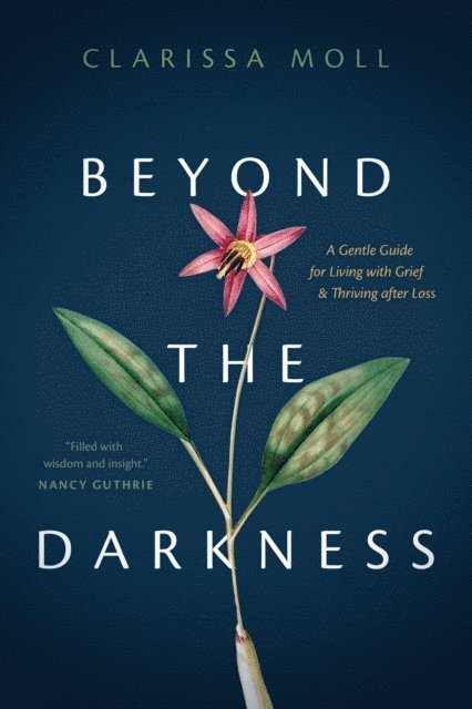 Clarissa Moll - Beyond the Darkness, E-bok