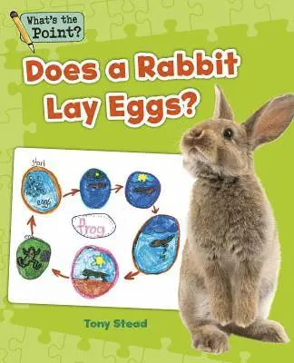 Capstone Classroom, Tony Stead - Does a Rabbit Lay Eggs?, Häftad. Tillgänglighet: Lägg i varukorg