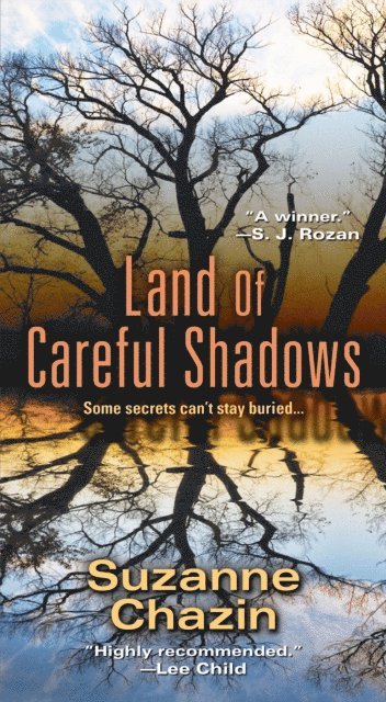 Suzanne Chazin - Land of Careful Shadows, E-bok