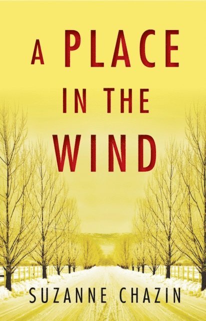 Suzanne Chazin - Place in the Wind, E-bok