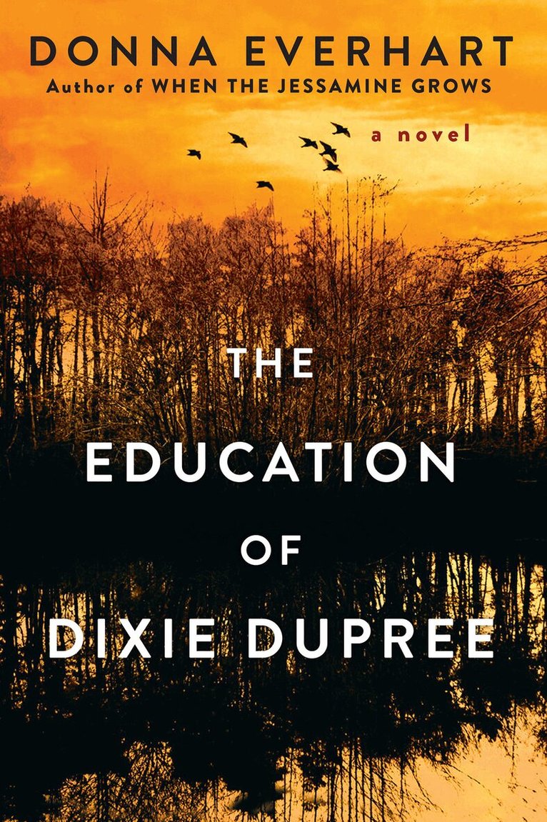 Donna Everhart - Education of Dixie Dupree, Häftad
