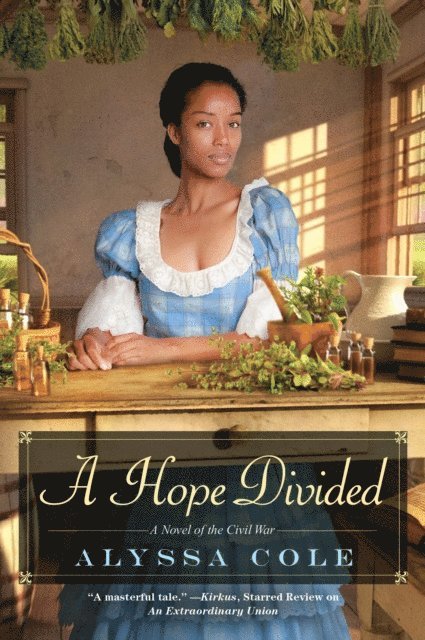 Alyssa Cole - Hope Divided, E-bok