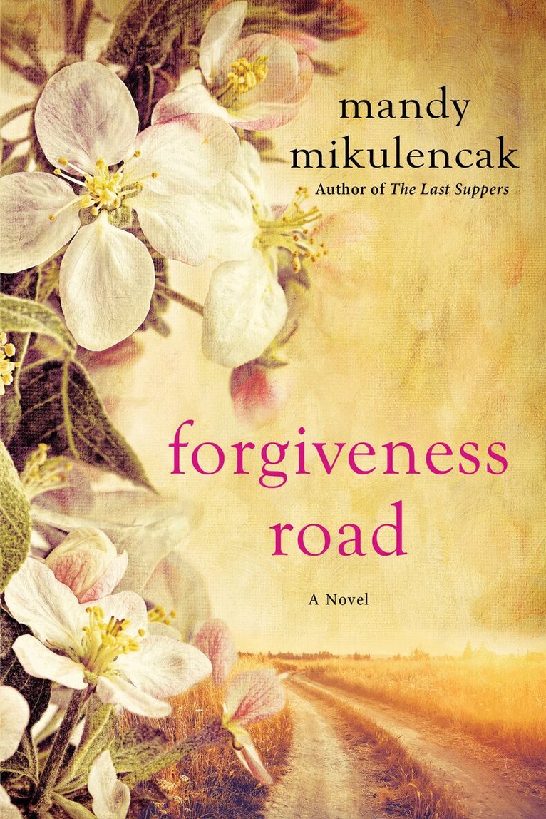 Mandy Mikulencak - Forgiveness Road, Häftad