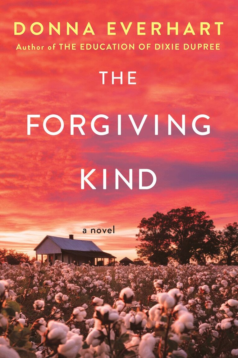 Donna Everhart - Forgiving Kind, Häftad