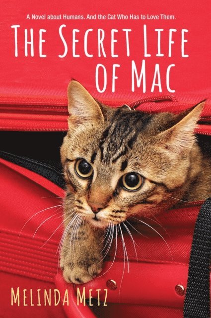 Melinda Metz - Secret Life of Mac, E-bok