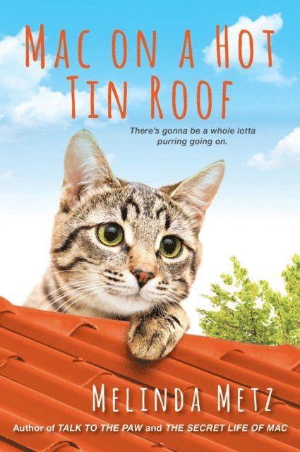 Melinda Metz - Mac on a Hot Tin Roof, E-bok