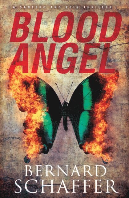 Bernard Schaffer - Blood Angel, E-bok