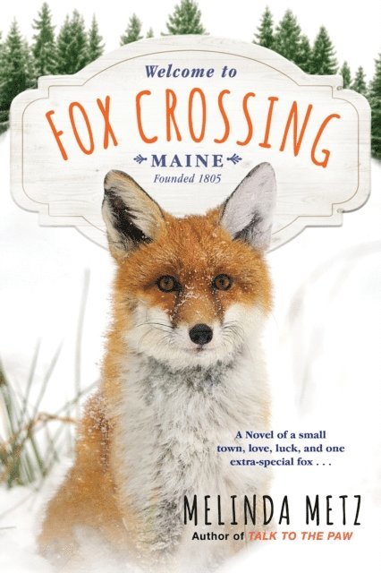 Melinda Metz - Fox Crossing, E-bok