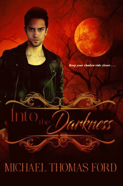 Michael Thomas Ford - Into the Darkness, E-bok