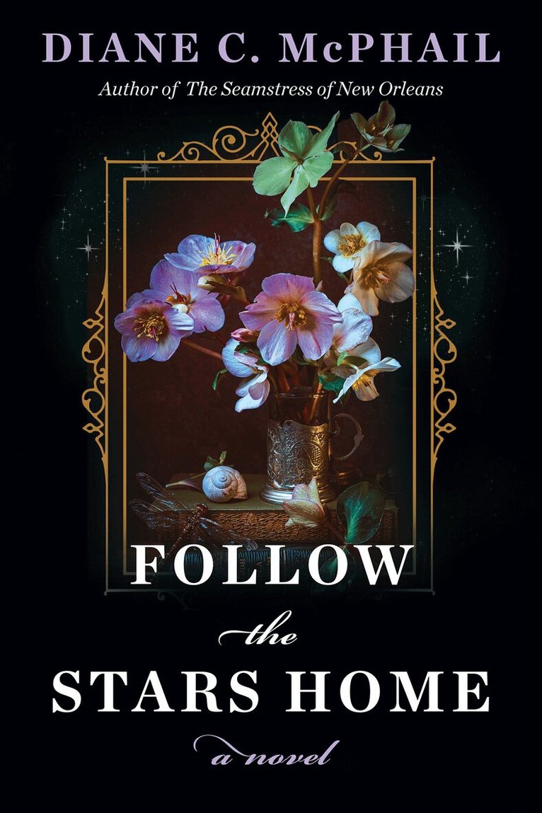 Diane C. McPhail - Follow the Stars Home, Häftad