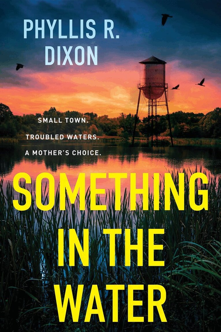 Phyllis R. Dixon - Something in the Water, Häftad