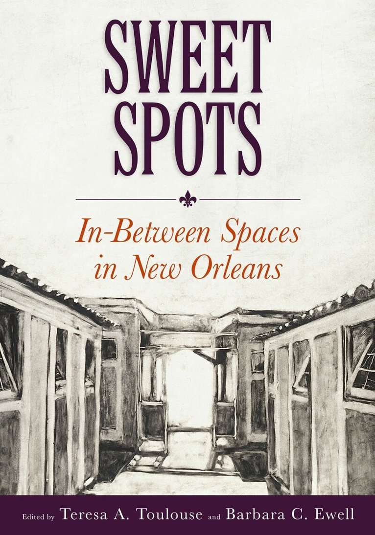 Teresa A. Toulouse, Barbara C. Ewell - Sweet Spots, Häftad