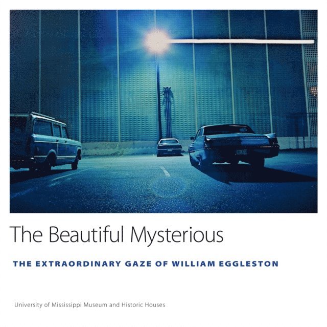 Ann J. Abadie - Beautiful Mysterious, E-bok
