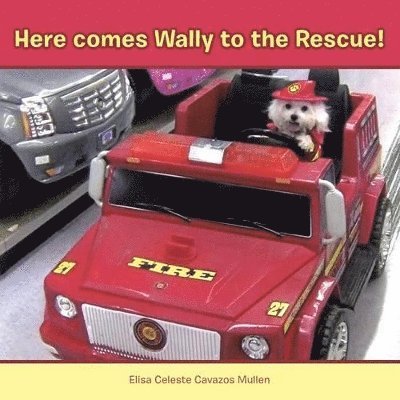 Elisa Celeste Cavazos Mullen - Here Comes Wally to the Rescue!, Häftad. Tillgänglighet: Lägg i varukorg