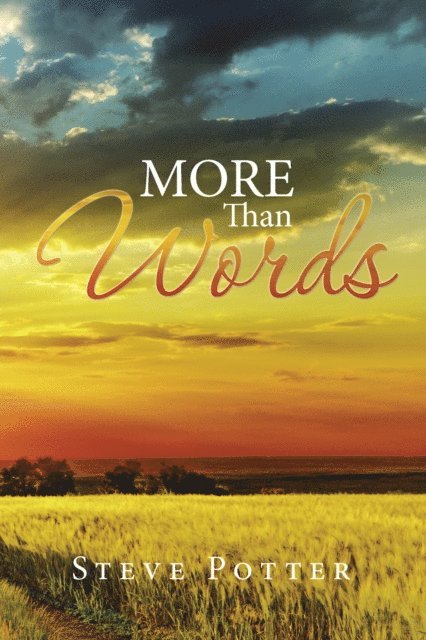 Steve Potter - More Than Words, E-bok