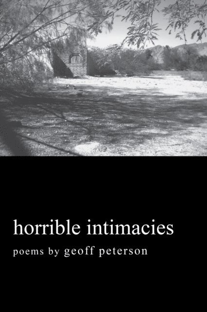 Geoff Peterson - Horrible Intimacies, E-bok