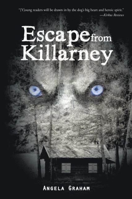 Angela Graham - Escape from Killarney, E-bok. Tillgänglighet: Lägg i varukorg