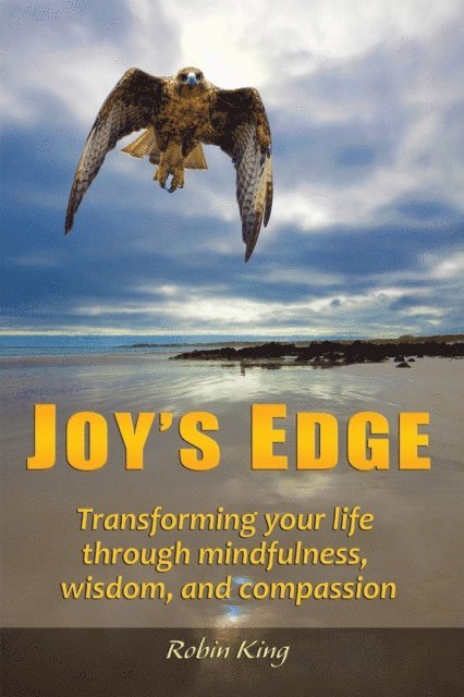 Robin King - Joy'S Edge, E-bok