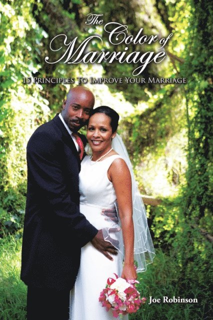 Joe Robinson - Color of Marriage, E-bok