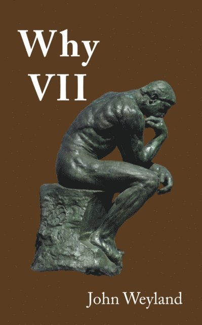 John Weyland - Why Vii, E-bok