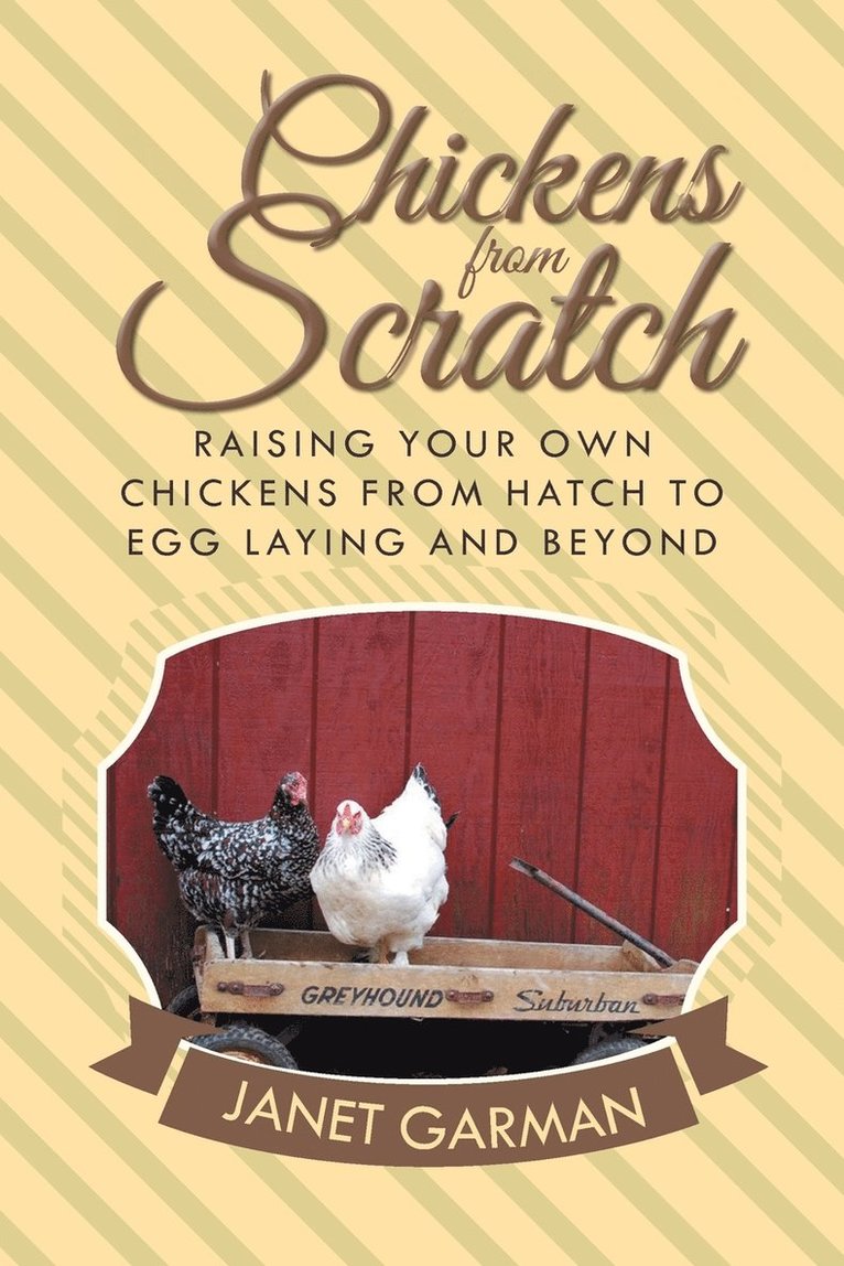 Janet Garman - Chickens from Scratch, Häftad. Tillgänglighet: Lägg i varukorg