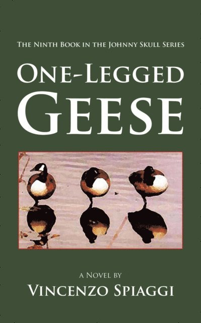 Vincenzo Spiaggi - One-Legged Geese, E-bok