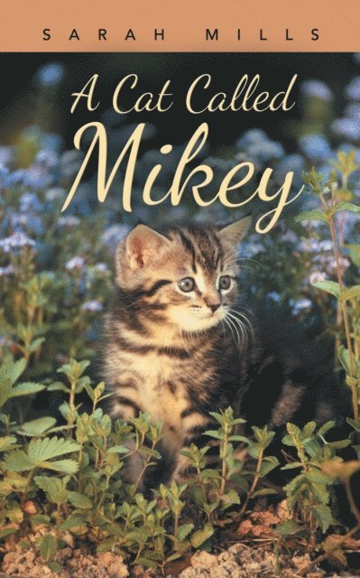 Sarah Mills - Cat Called Mikey, E-bok