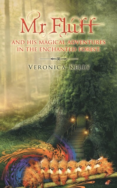 Veronica Kelly - Mr Fluff and His Magical Adventures in the  Enchanted Forest., E-bok