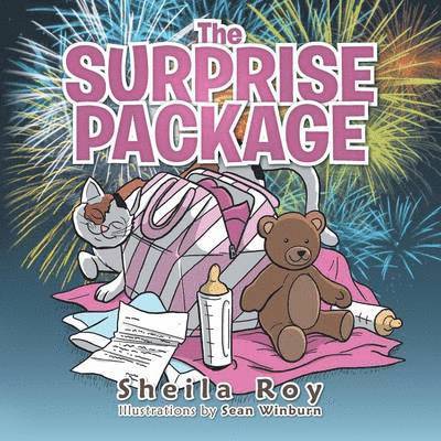 Sheila Roy - Surprise Package, Häftad