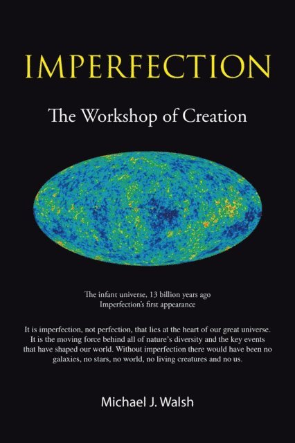 Michael J. Walsh - Imperfection, E-bok