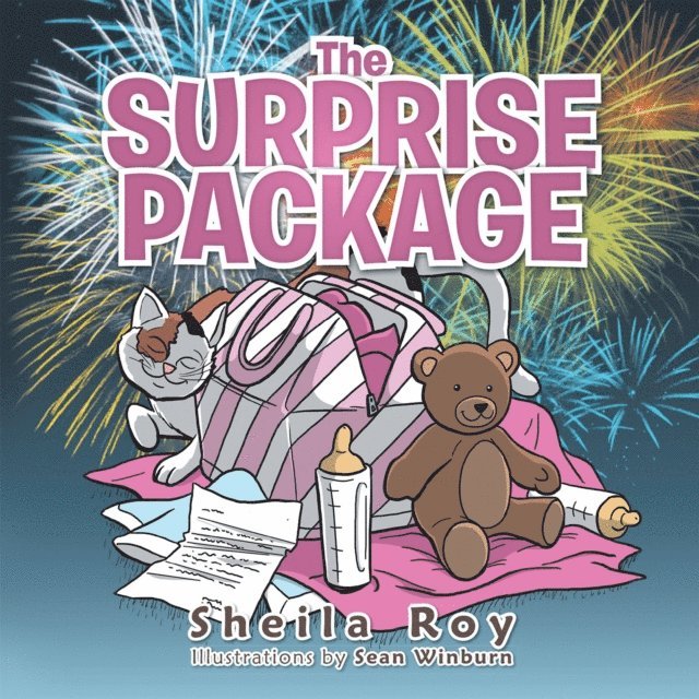 Sheila Roy - Surprise Package, E-bok
