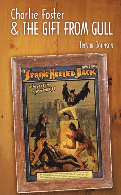 Trevor Johnson - Charlie Foster & the Gift from Gull, E-bok