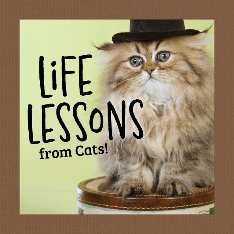 Grace Peterson - Life Lessons from Cats, Inbunden